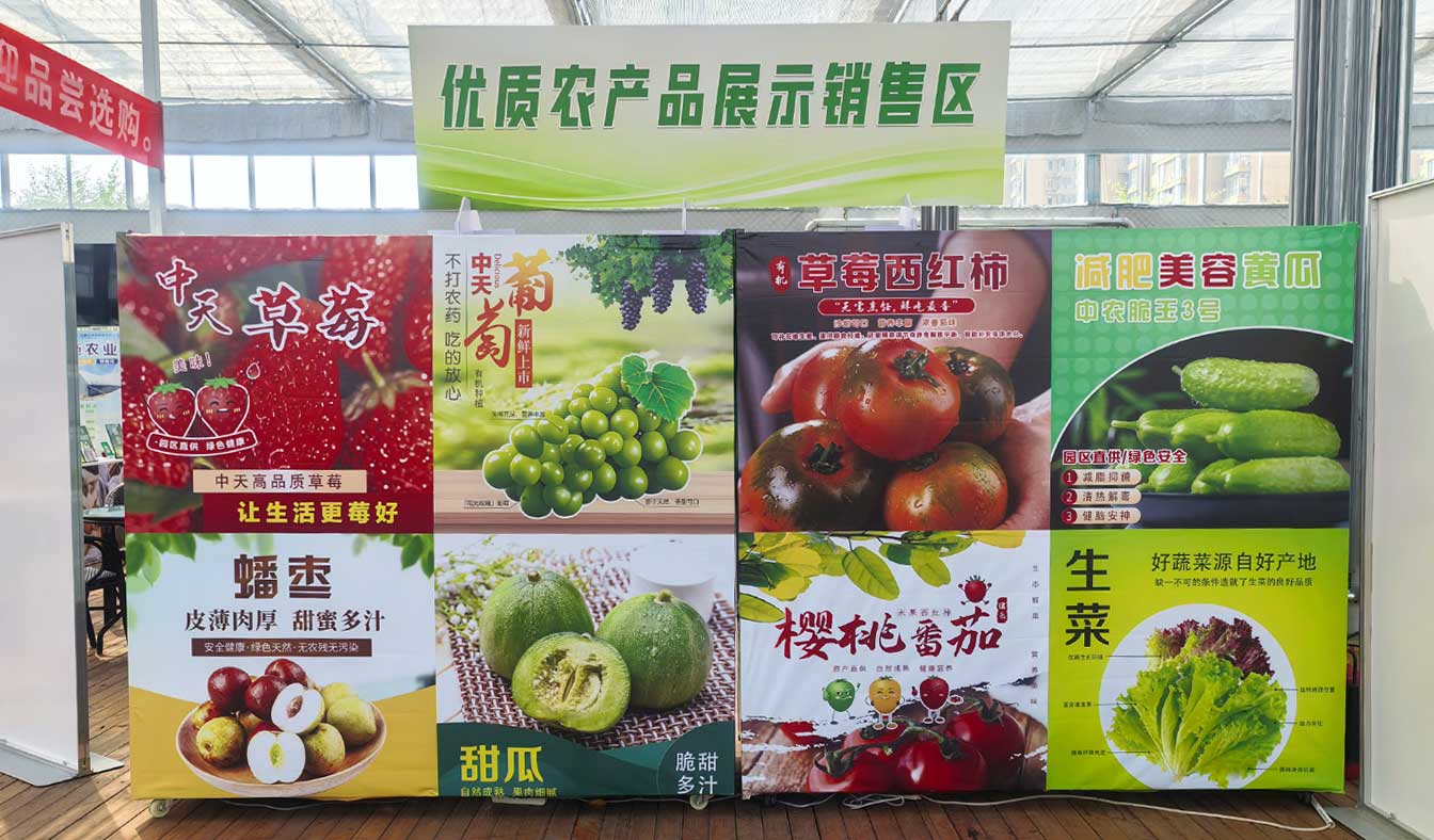 自治區綠色優質果蔬展銷中心psd-恢復的_15.jpg 自治區綠色優質果蔬展銷中心psd-恢復的_15.jpg