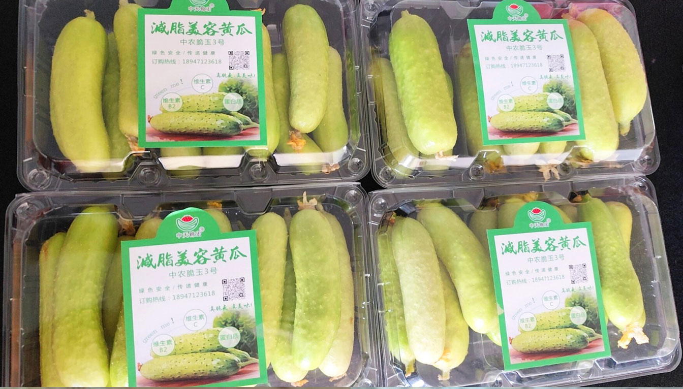 自治區綠色優質果蔬展銷中心psd-恢復的_18.jpg 自治區綠色優質果蔬展銷中心psd-恢復的_18.jpg