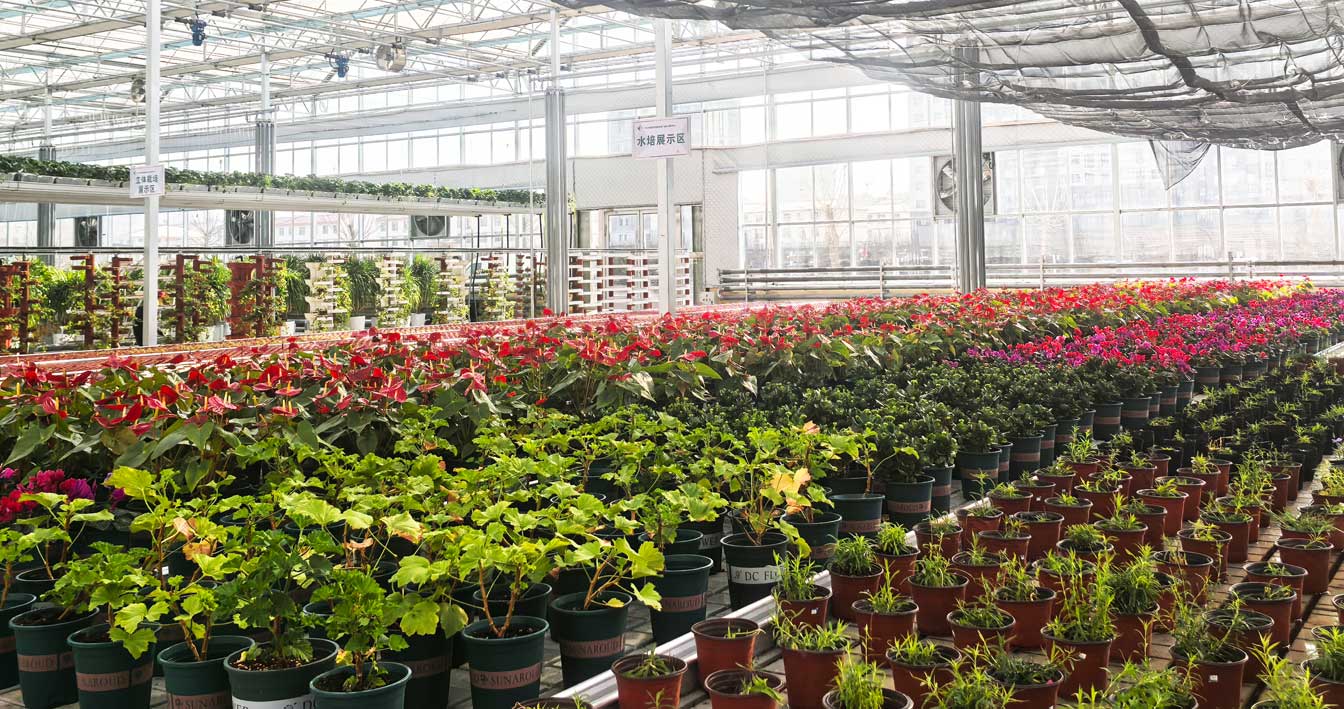 自治區綠色優質果蔬展銷中心psd-恢復的_26.jpg 自治區綠色優質果蔬展銷中心psd-恢復的_26.jpg